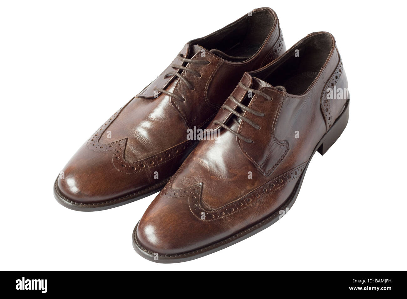 fancy brown shoes
