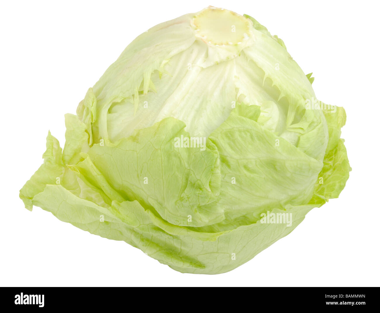 Crisphead lettuce hires stock photography and images Alamy
