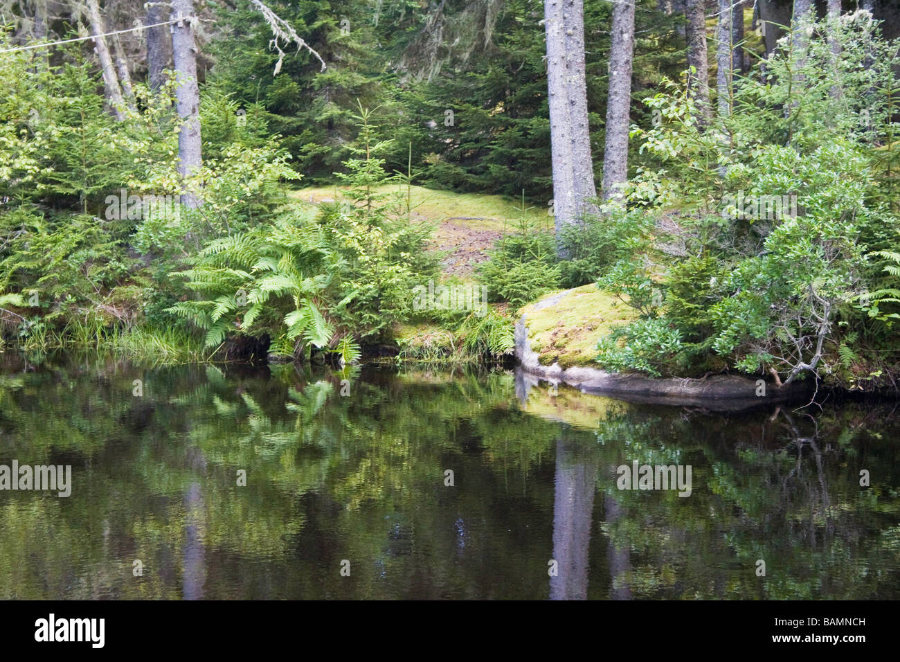 Reflecting Pond Stock Photo