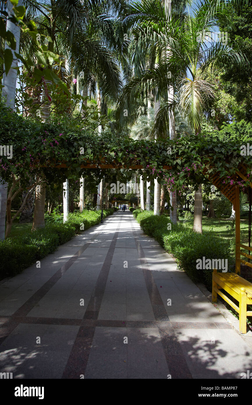 Aswan Botanical Gardens, Kitchener Island, River Nile, Aswan, Egypt Stock Photo