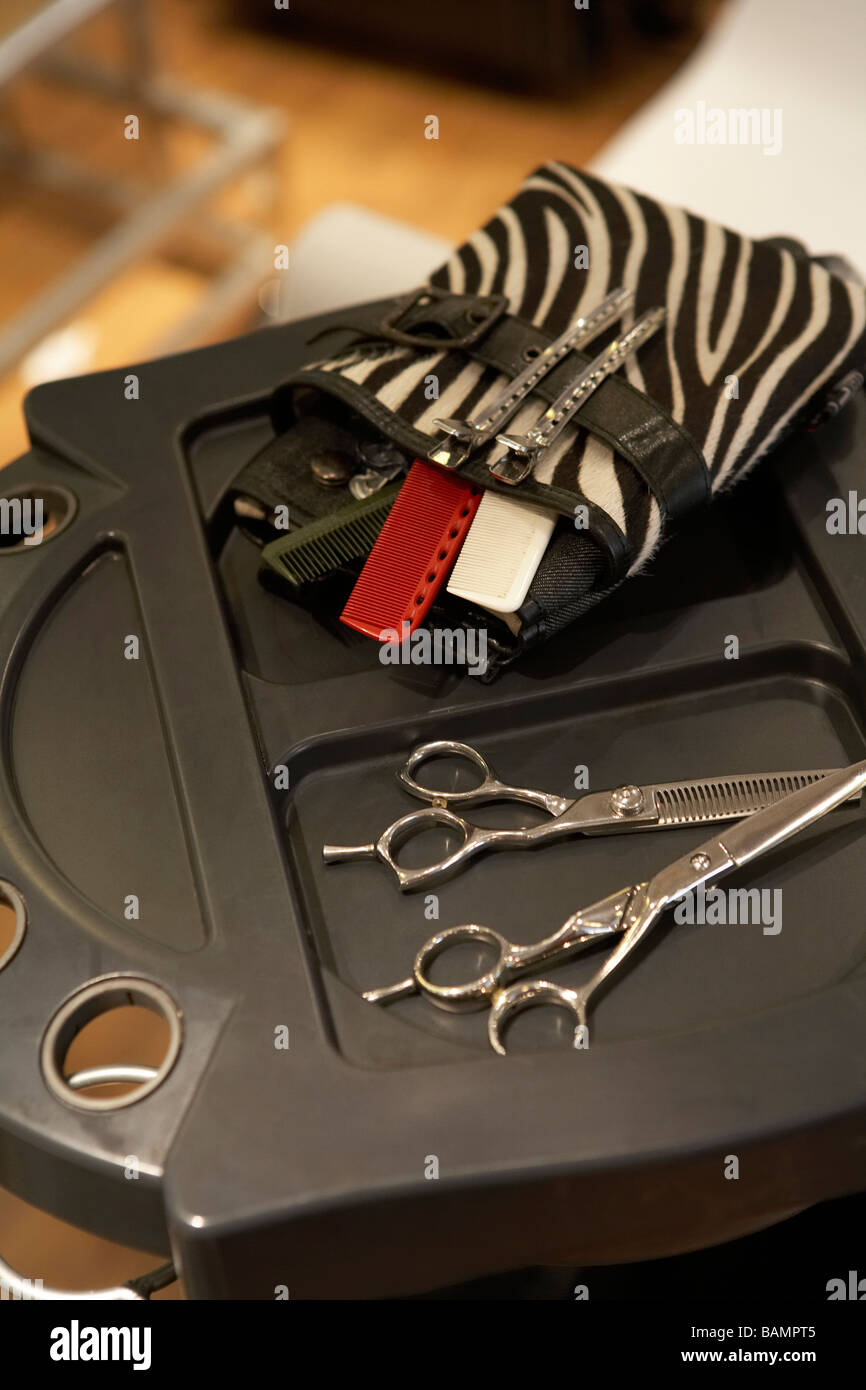 Hairdressing Scissors And Combs Stock Photo Alamy