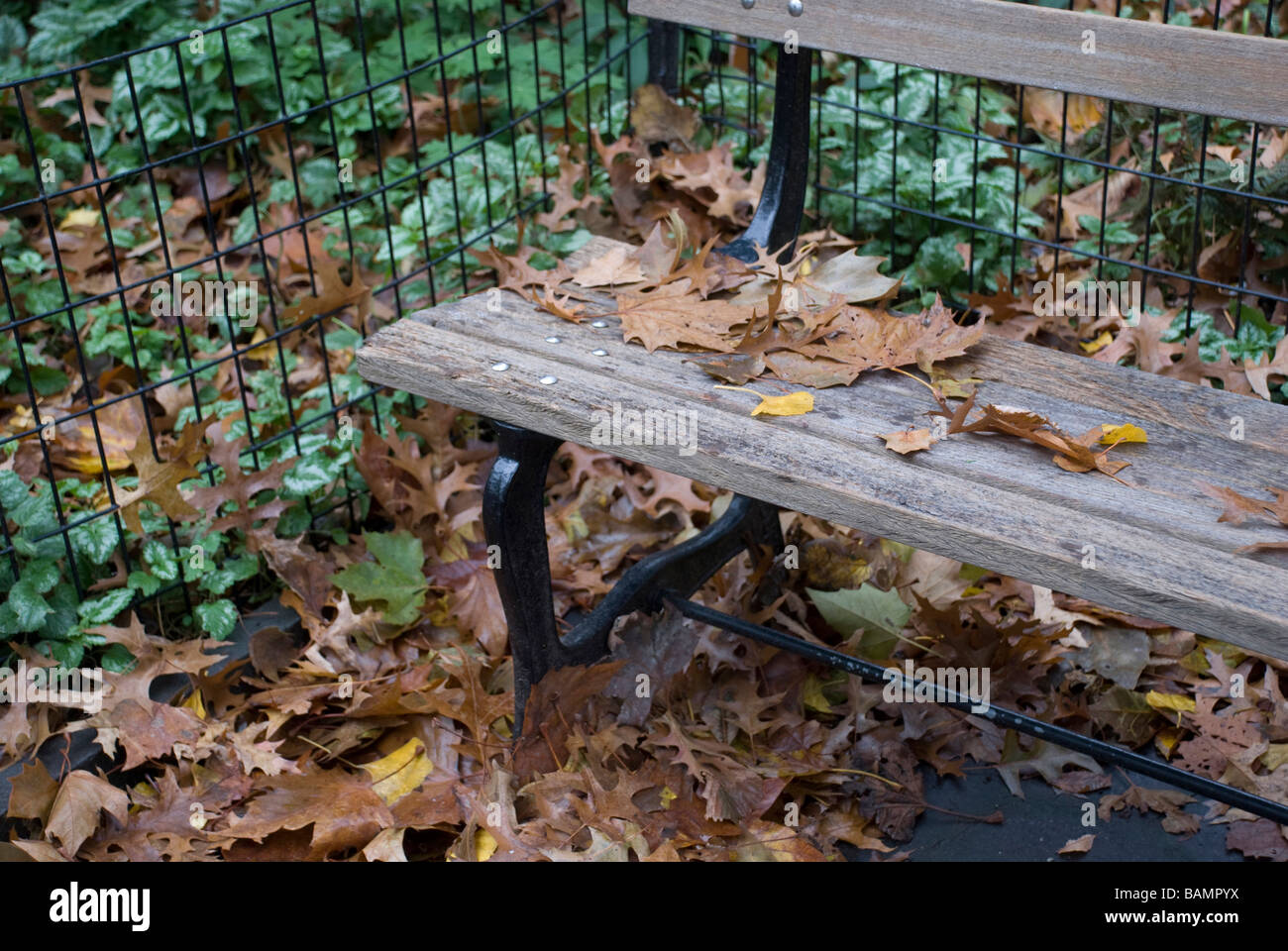 park bench leaves change autumn season horizontal empty fall Stock Photo