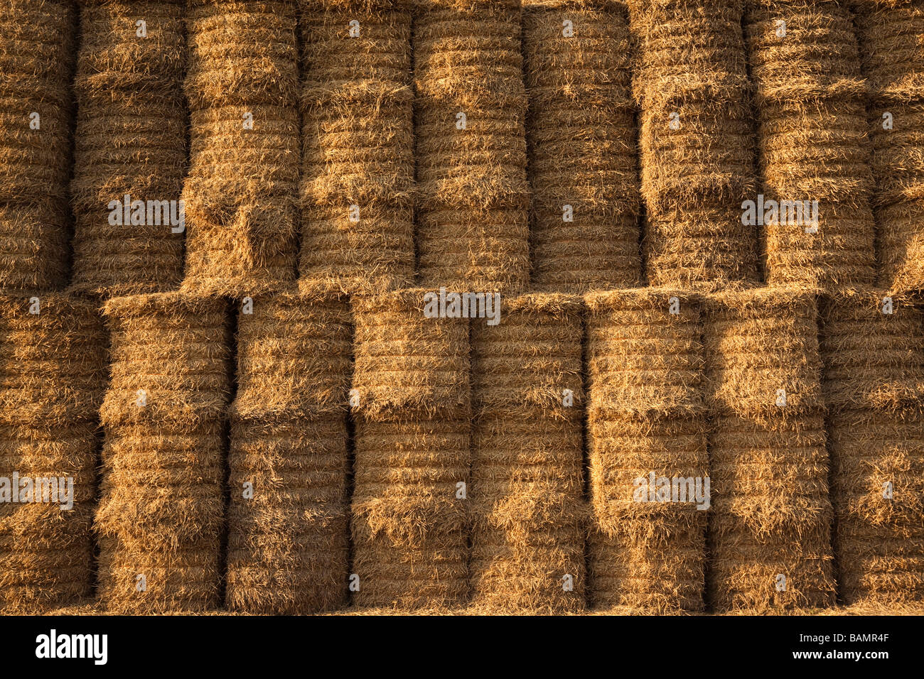stack of straw bales stacked high Stock Photo