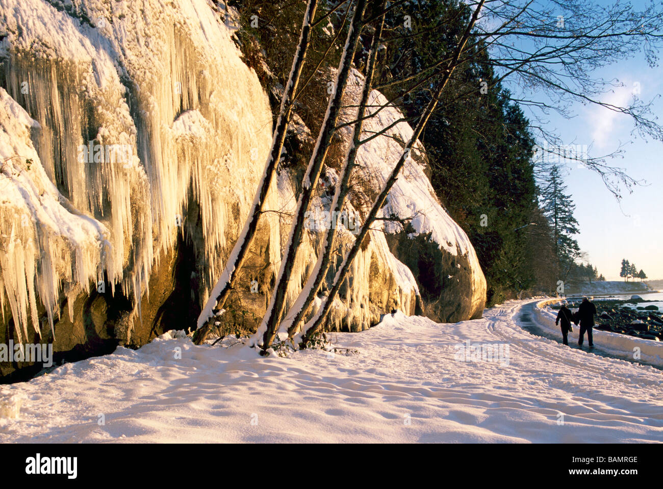Icicles Hanging On Rock Wall At Snow Covered Stanley Park Seawall At English Bay In Winter Vancouver British Columbia Canada Stock Photo Alamy Icicles Hanging On Rock Wall At Snow Covered Stanley Park Seawall At English Bay In Winter Vancouver British Columbia Canada Stock Photo Alamy