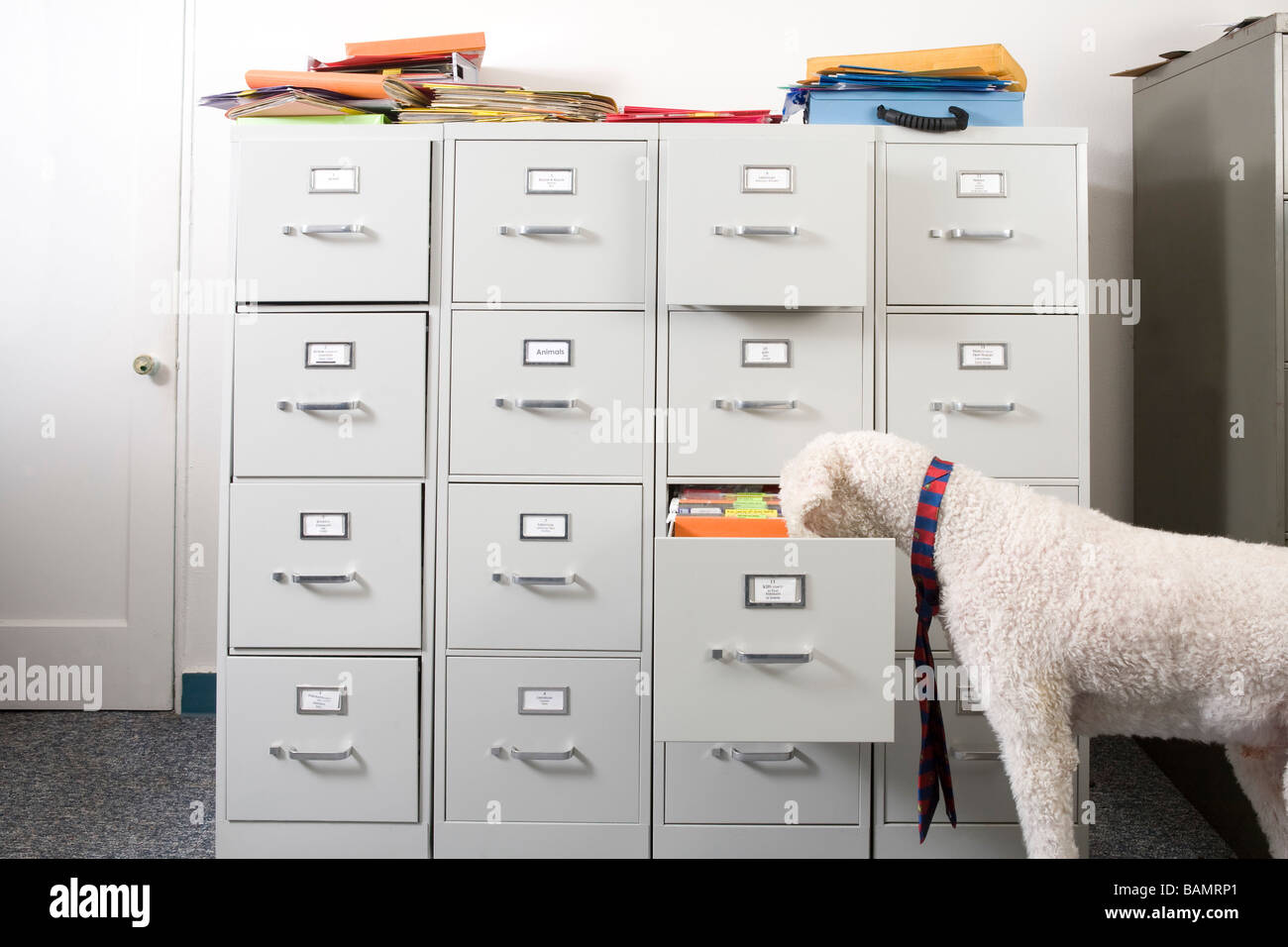 File cabinet hi-res stock photography and images - Alamy