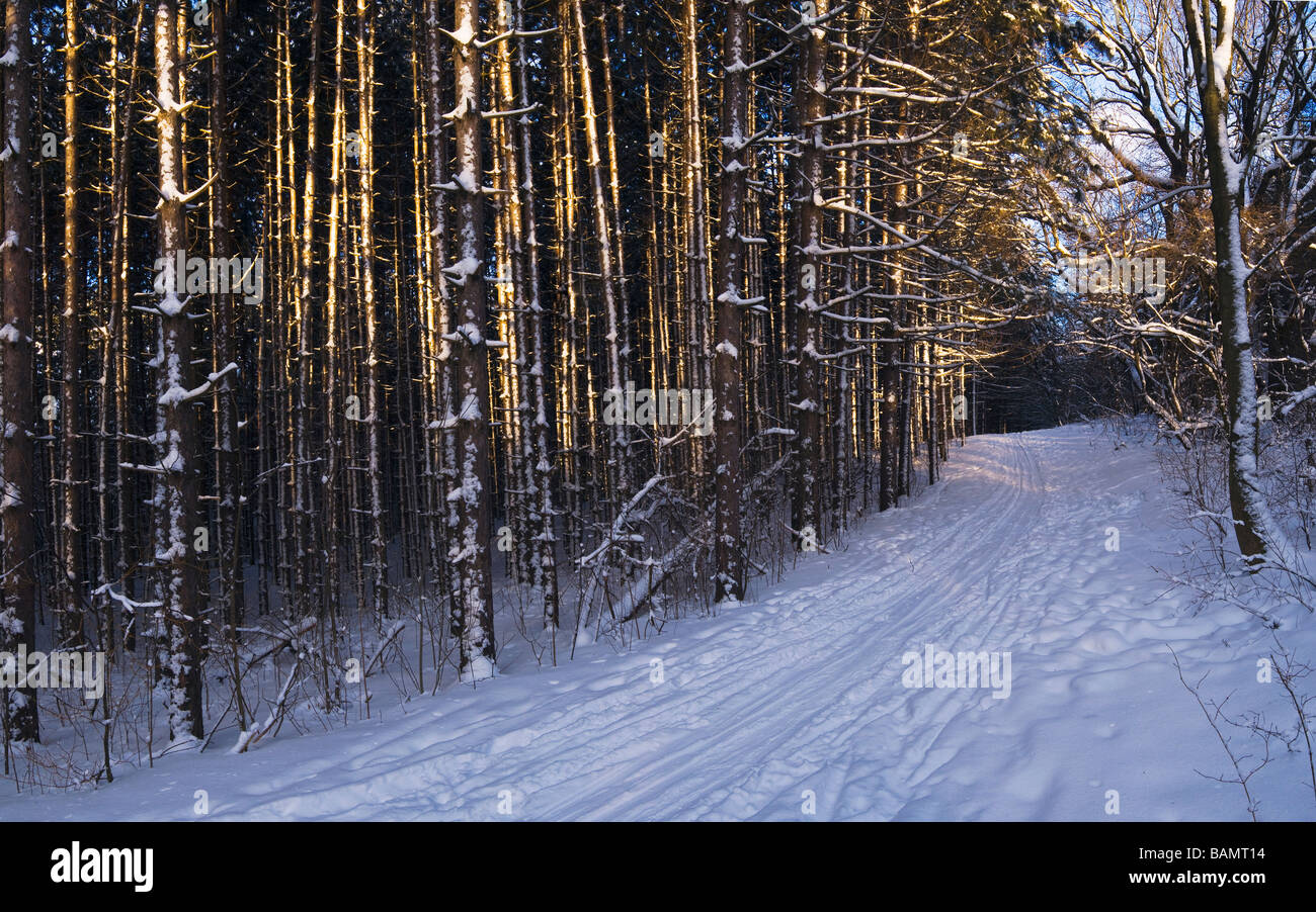 Cross country trail in Christie Lake Conservation Area Hamilton Ontario ...