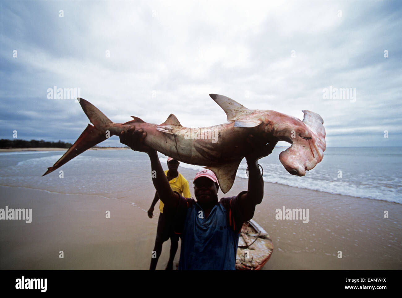 Fisherman with Hammerhead Shark caught with hand line Inhassoro