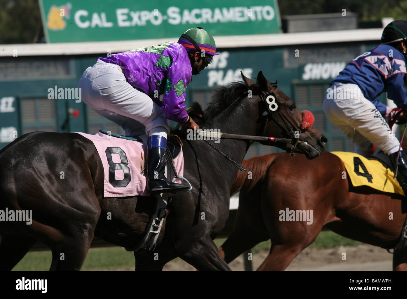 Cal Expo Horse Racing Schedule 2025 Essa Milicent