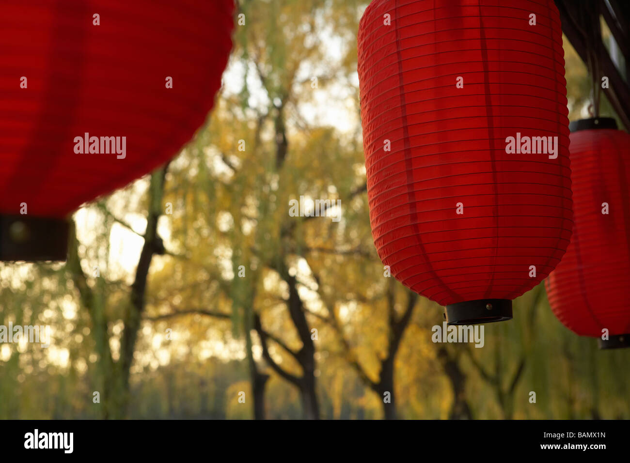 Red Lanterns Hanging In Front Of Trees Stock Photo - Alamy