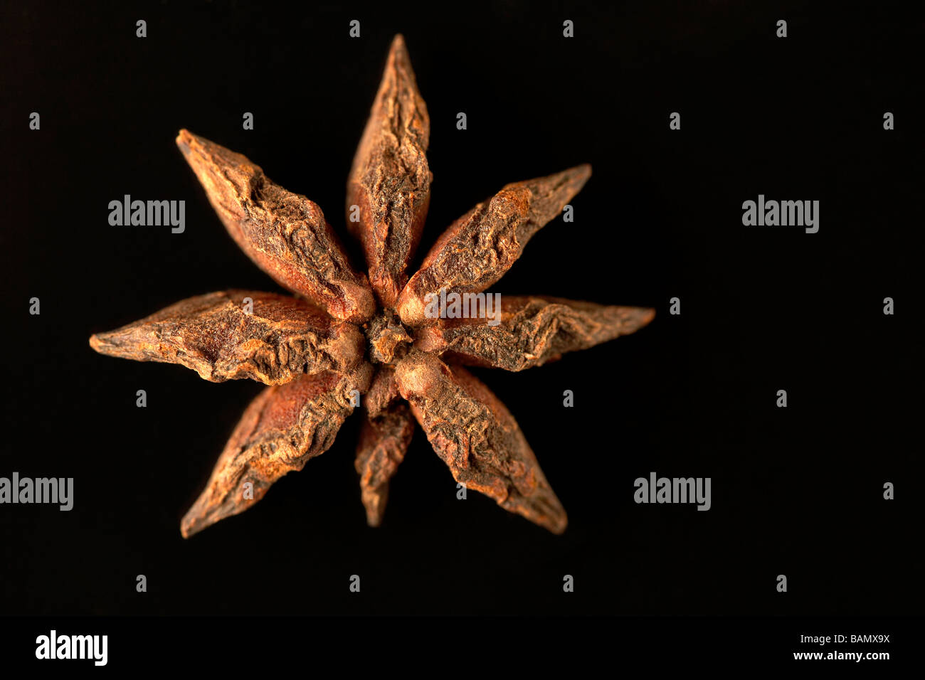 A star anise Stock Photo Alamy