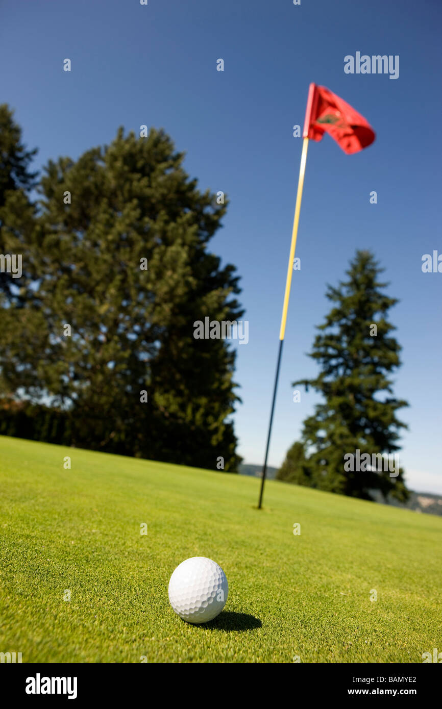 Golf ball on the green Stock Photo Alamy