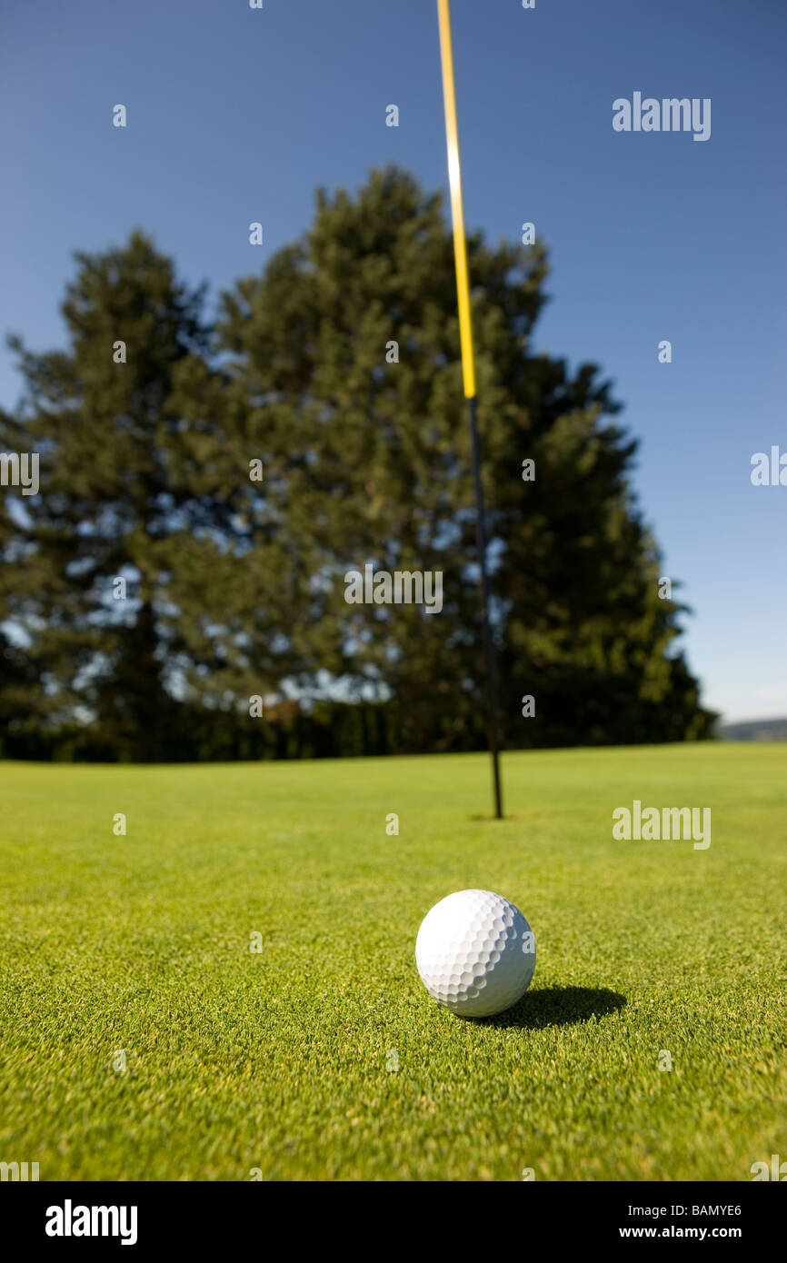 Golf ball on the green Stock Photo Alamy