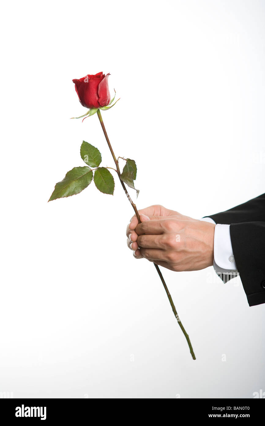 Gifting a rose Stock Photo - Alamy