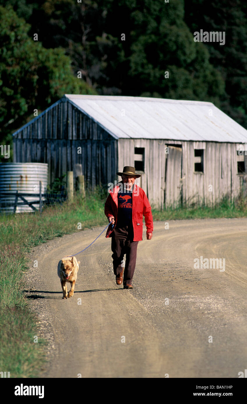 Senior Citizen walking the Dog Huon Valley Tasmania Australia Stock Photo