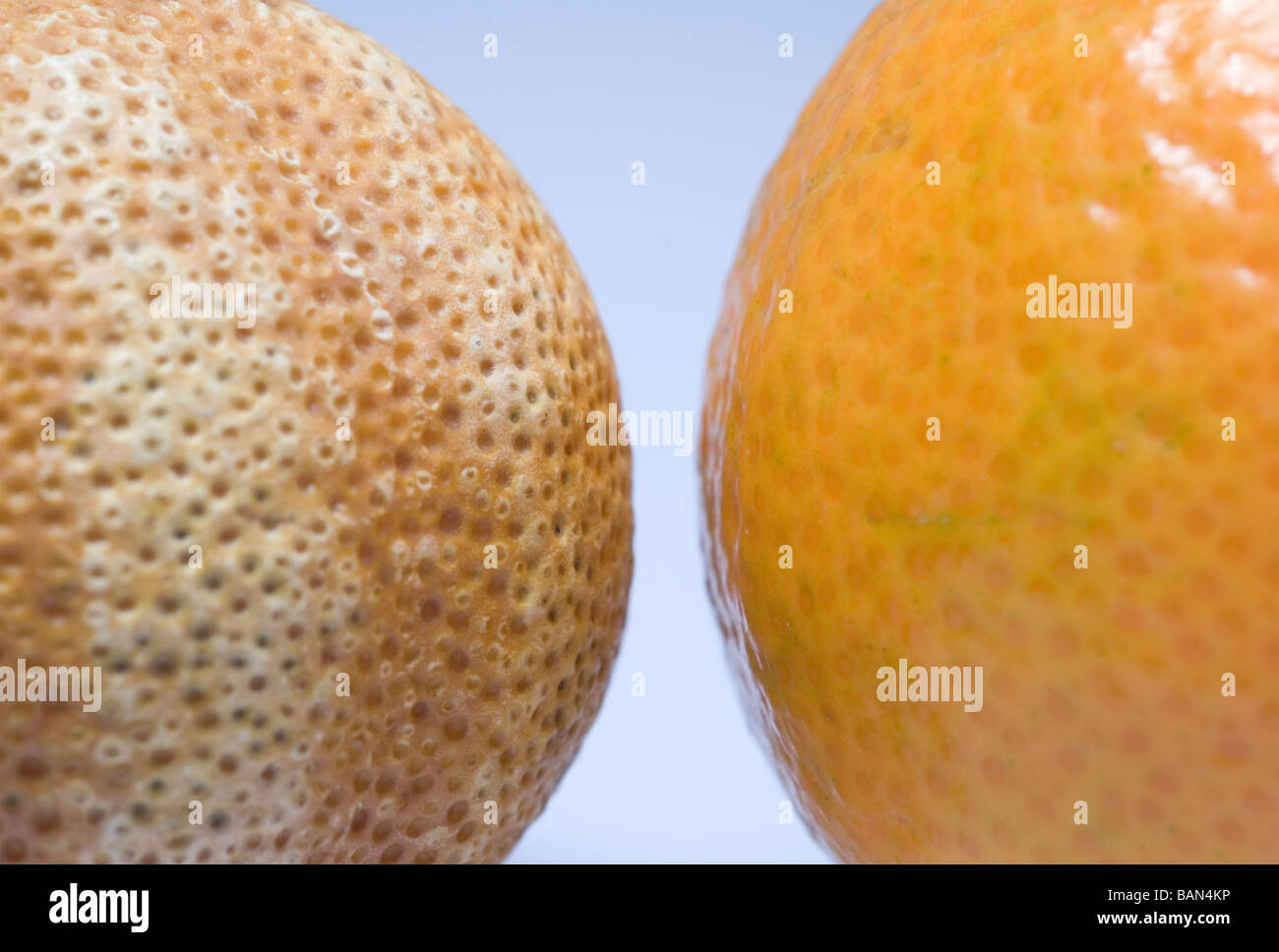 dried and fresh mandarin Stock Photo