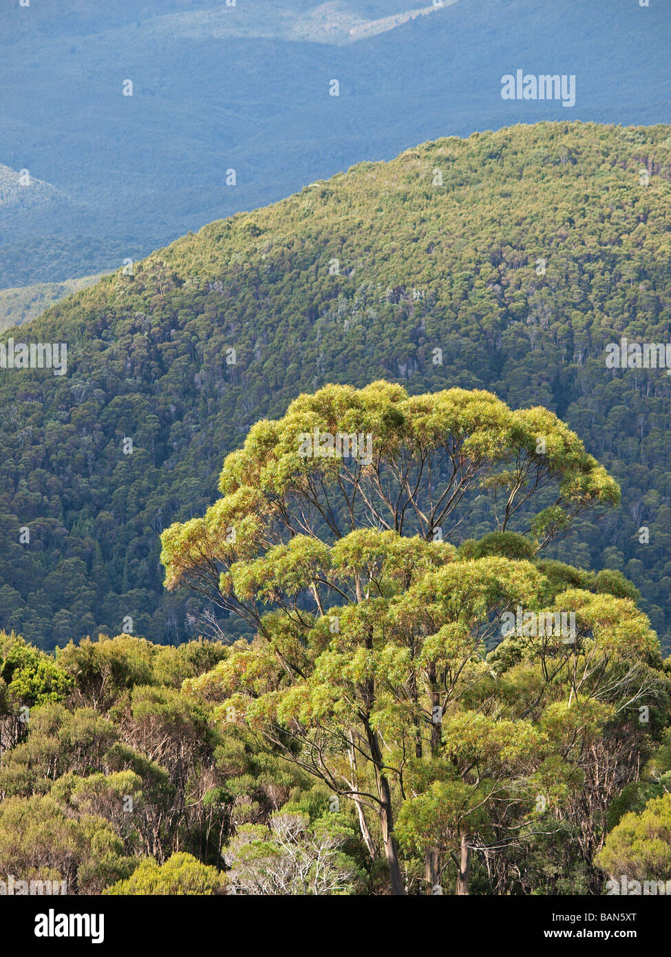 Franklin Gordon Wild Rivers National Park Stock Photos ...