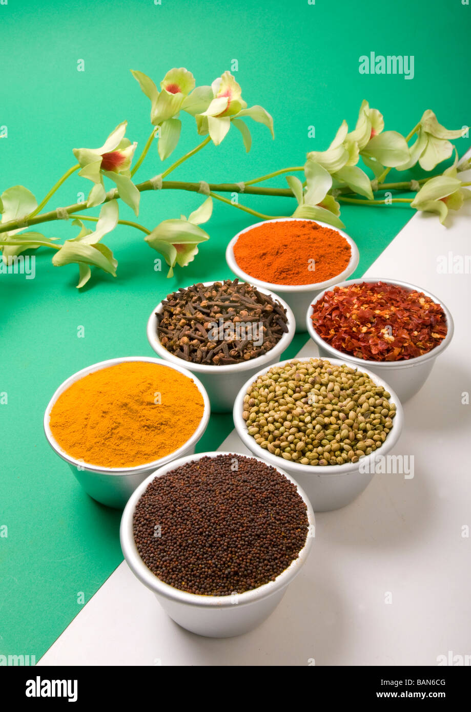 Replicating a spice scene in  studio, reminiscent of Kerala, India, as seen on a recent photoshoot. Stock Photo