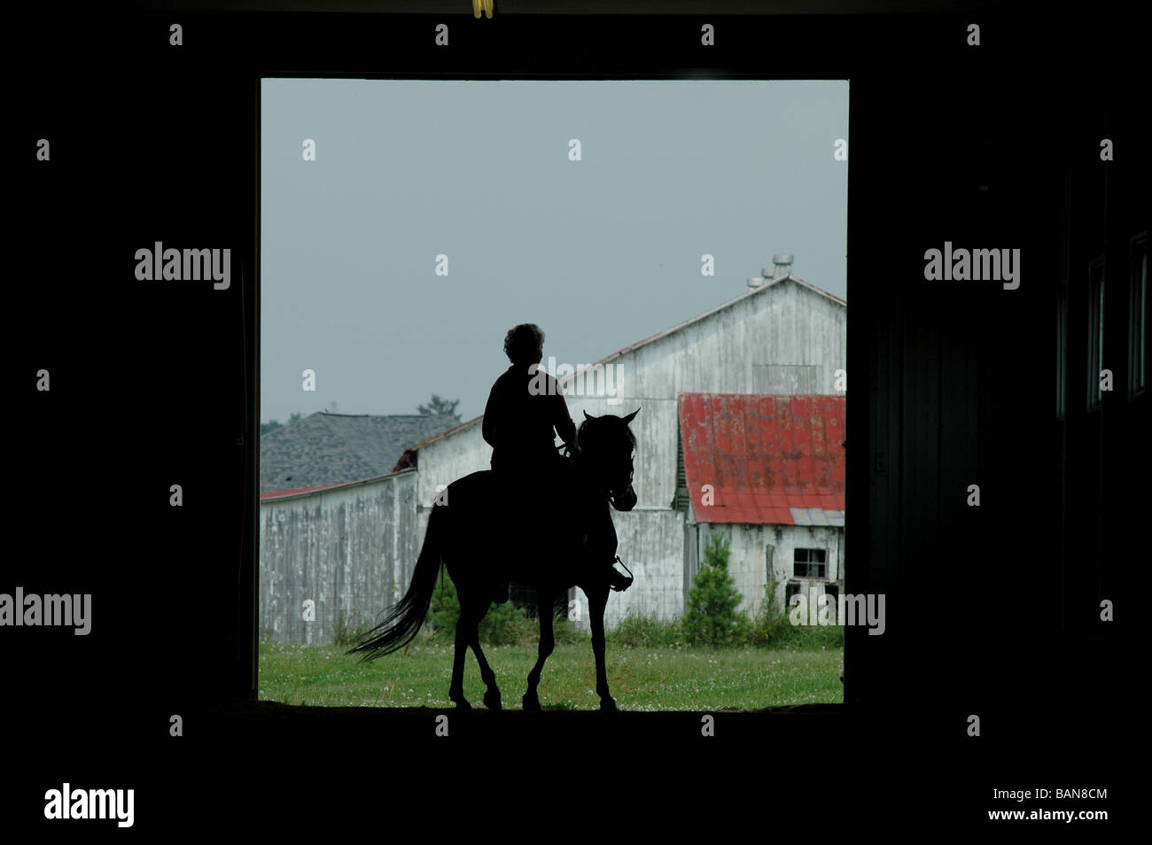 horse rider barn silhouette horseback back ohio riding stable Stock