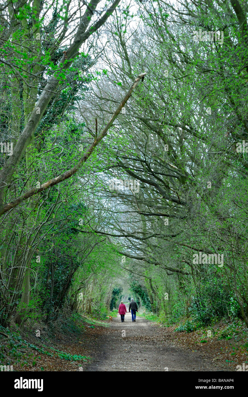 Two people walking along a country lane Nr Wheathampstead Hertfordshire UK Stock Photo