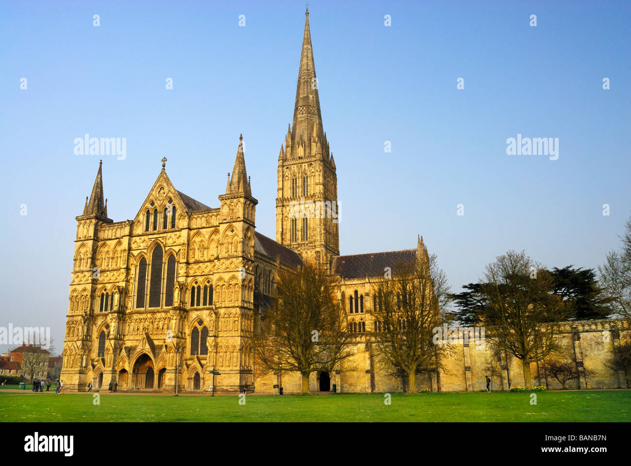 Salisbury cathedral Salisbury Wiltshire Stock Photo