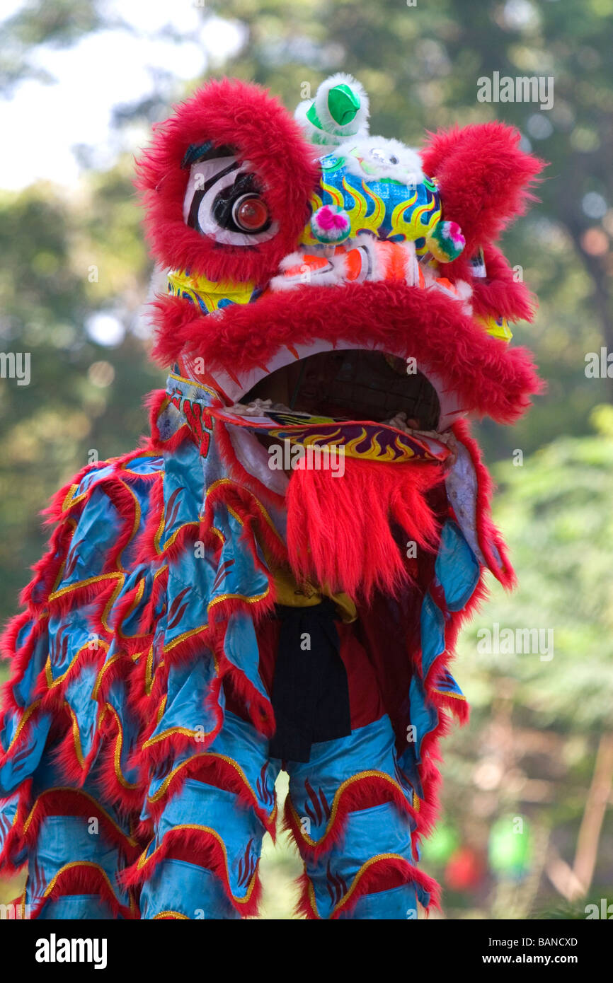 Vietnamese dragon dance during Tet Lunar New Year celebrations in Ho Chi Minh City Vietnam Stock Photo