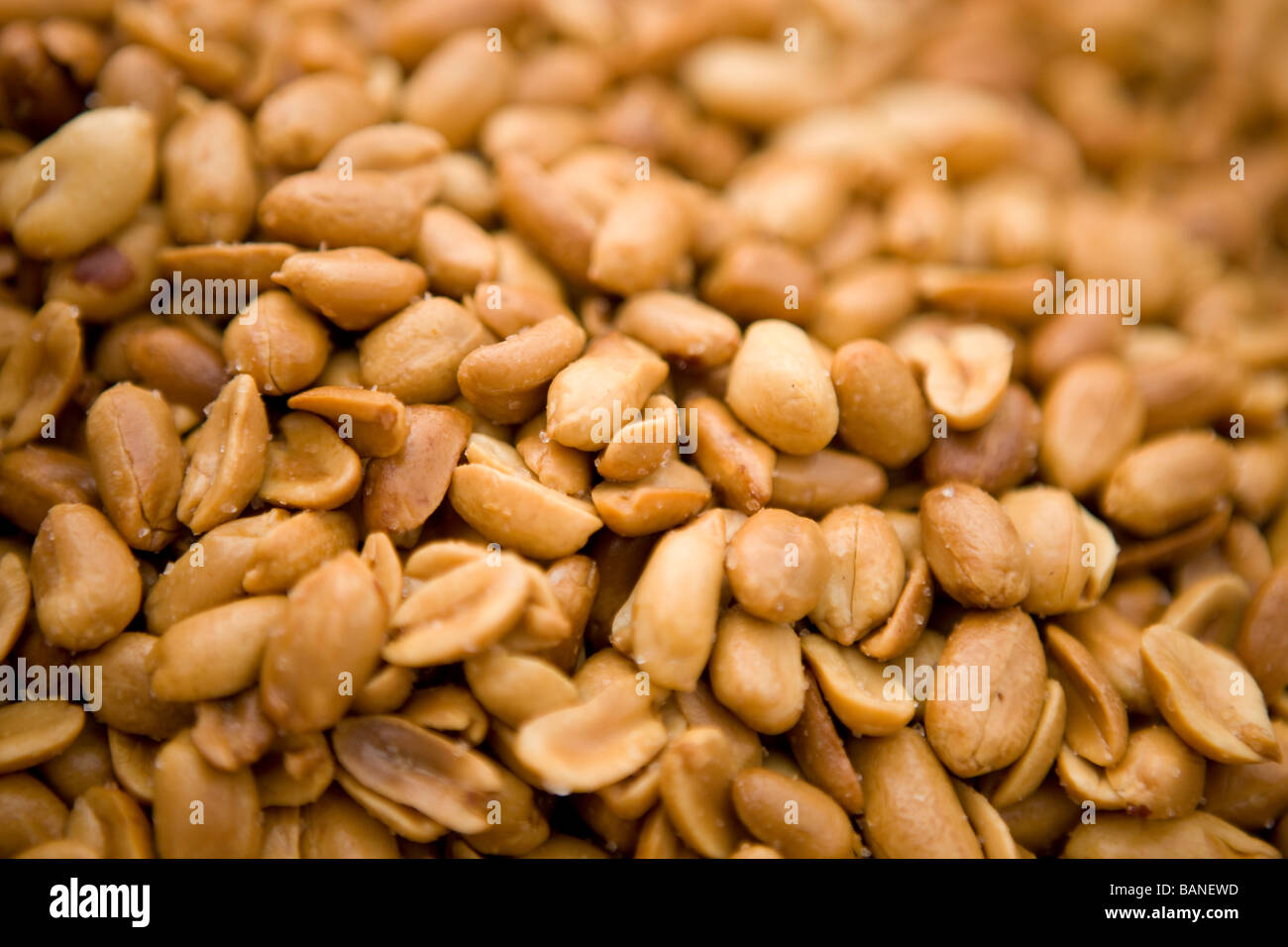 Roasted And Salted Peanuts Stock Photo Alamy