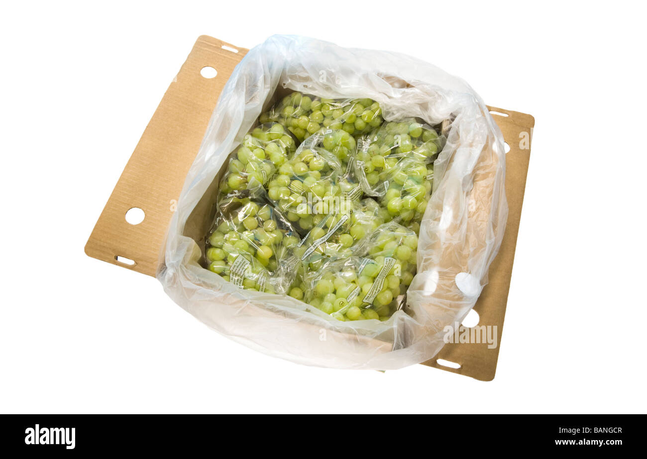 quality seedless table grape bunches packed pack box boxed sell selling