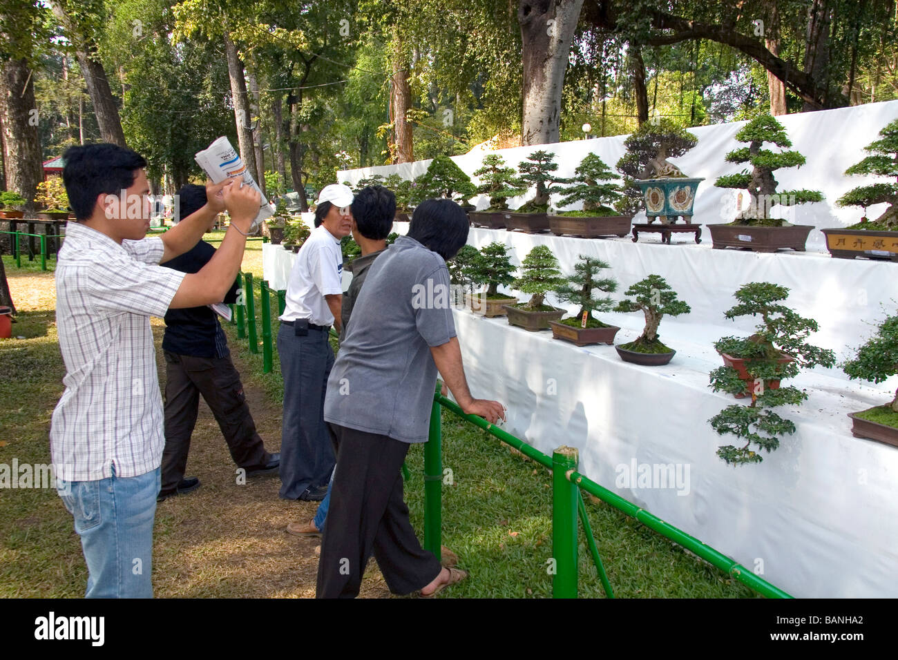 Bonsai trees on display at the Nguyen Hue Boulevard Flower Show in Ho Chi Minh City Vietnam Stock Photo