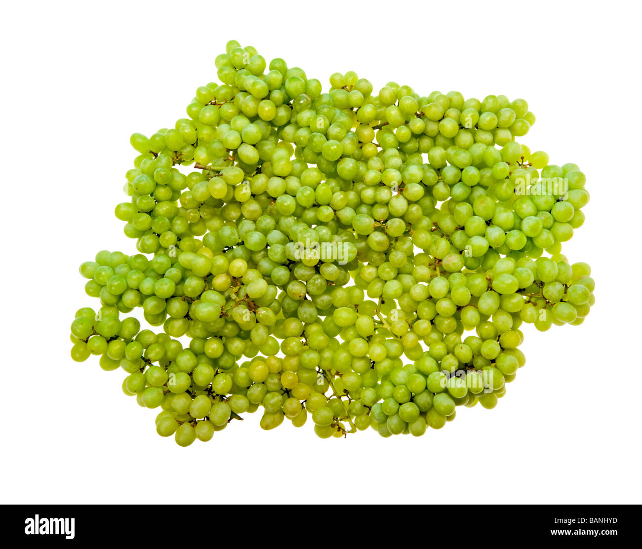 quality seedless table grape food fruit tasty taste healthy health