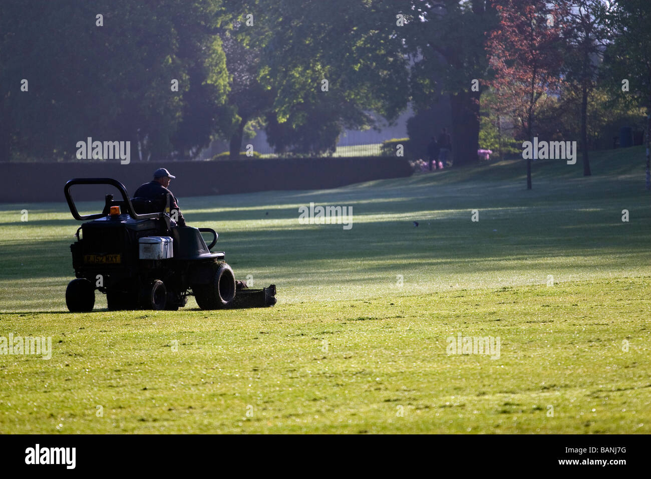 A gardener cuts the grass using a sit-on lawn mower in Castle Park, Colchester, Essex, UK Stock Photo