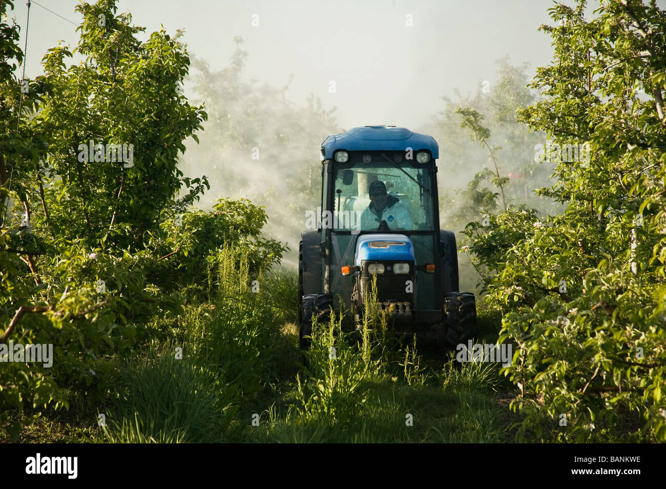 Farmer operating tractor with attached spray rig applying pesticide. Stock Photo