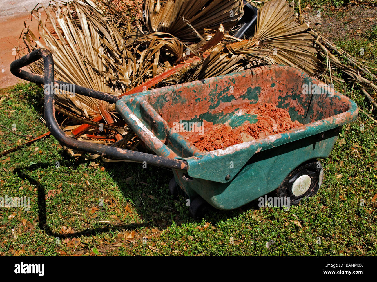 plastic wheelbarrow carrier with wheels for cement, plaster with metal handle set against dried palm fronds Stock Photo