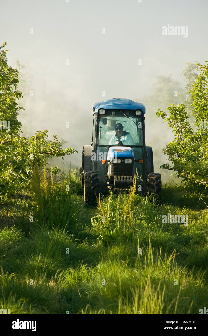 Farmer operating tractor with attached spray rig applying pesticide. Stock Photo