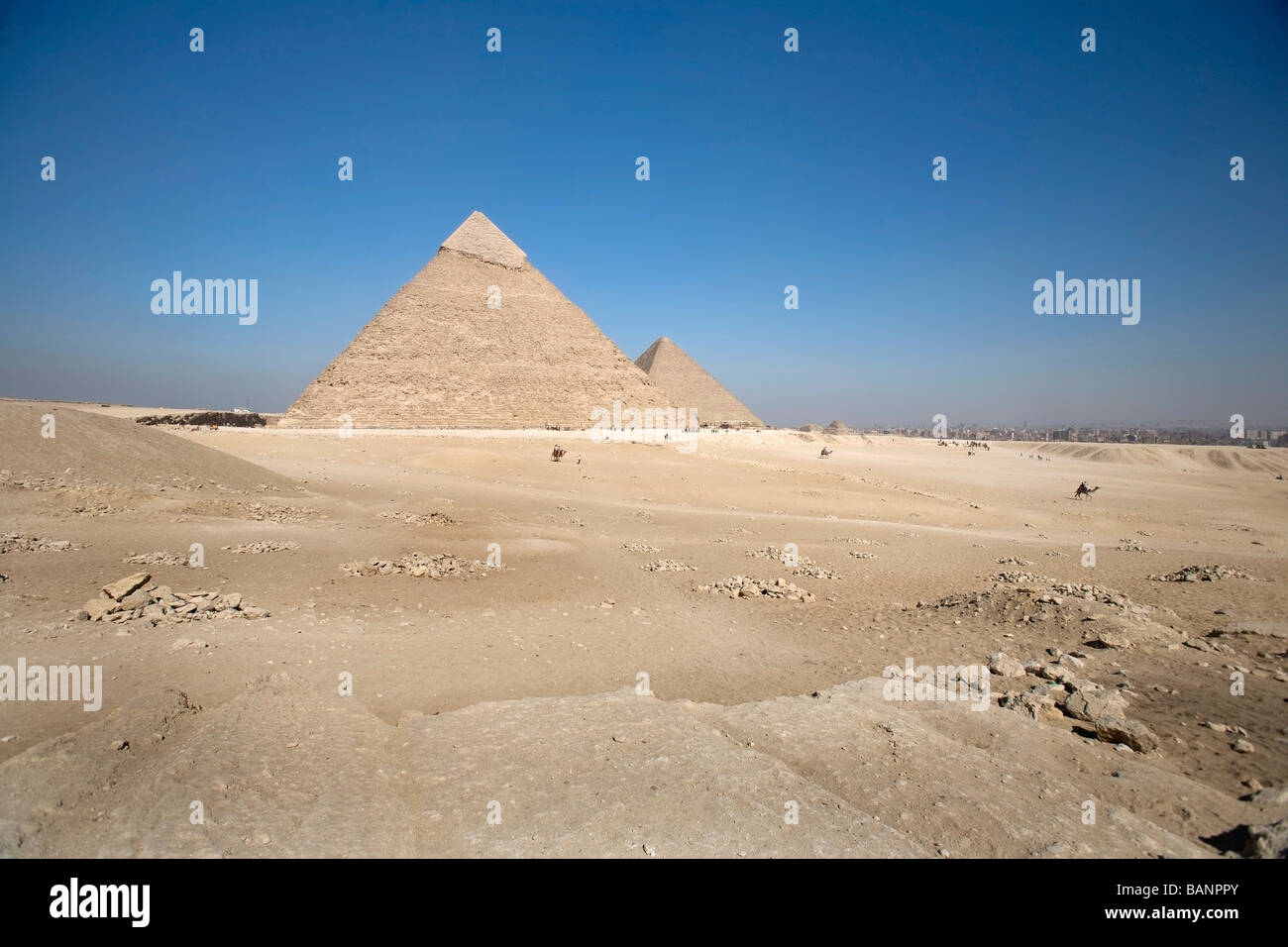 Cairo, Egypt; The pyramids of Giza Stock Photo - Alamy