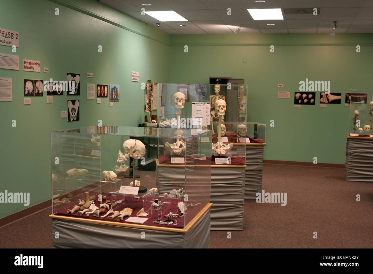 Forensic science display University of Northern Iowa Museum Stock Photo