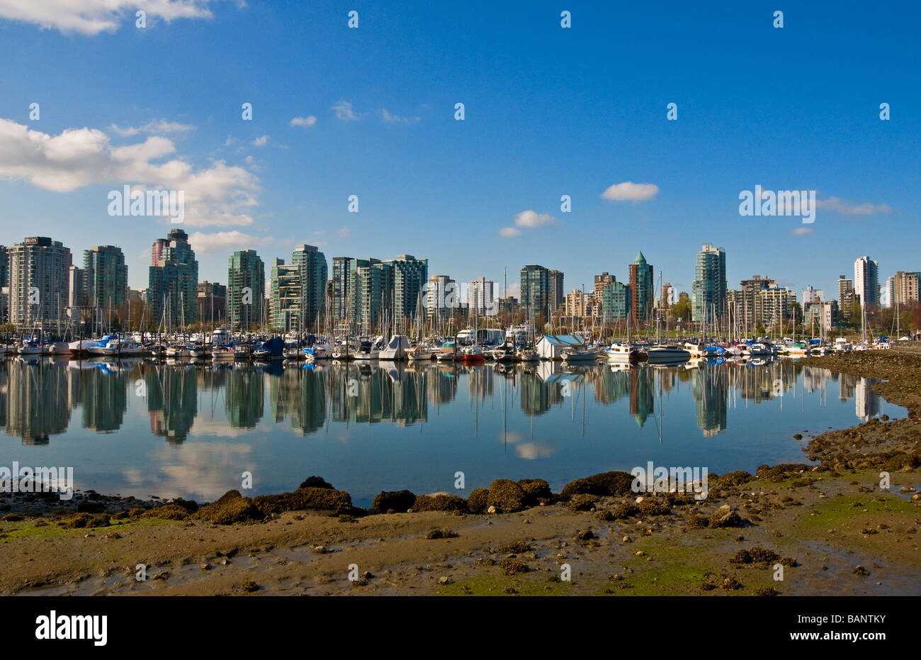 View of Downtown Vancouver from Stanley Park Stock Photo - Alamy