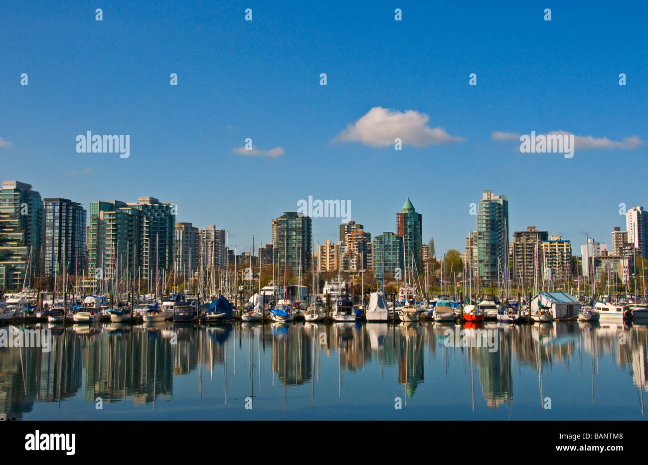View of Downtown Vancouver from Stanley Park Stock Photo - Alamy