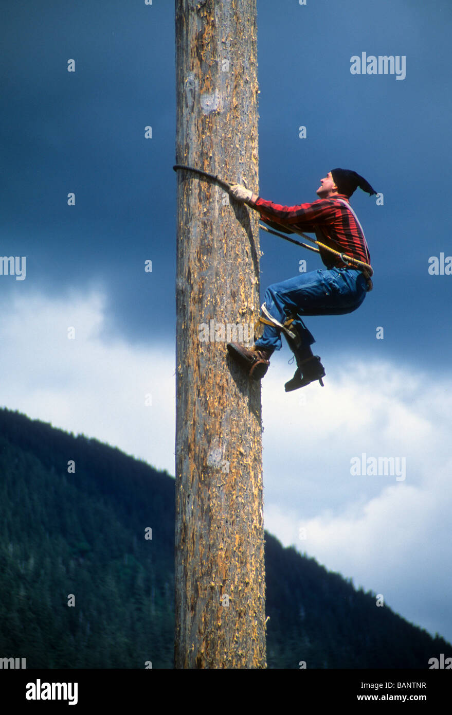 Lumberjack log tree climb rope Alaska danger show risk thrill tall high  demo sport speed Stock Photo - Alamy