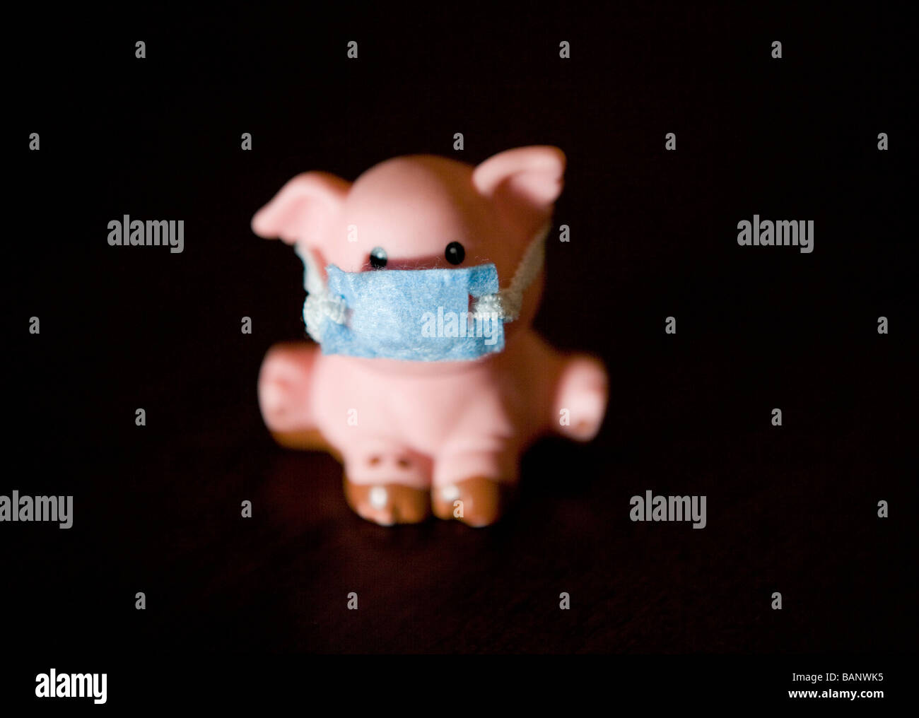 swine flu concept shot, plastic pig wearing a mask Stock Photo