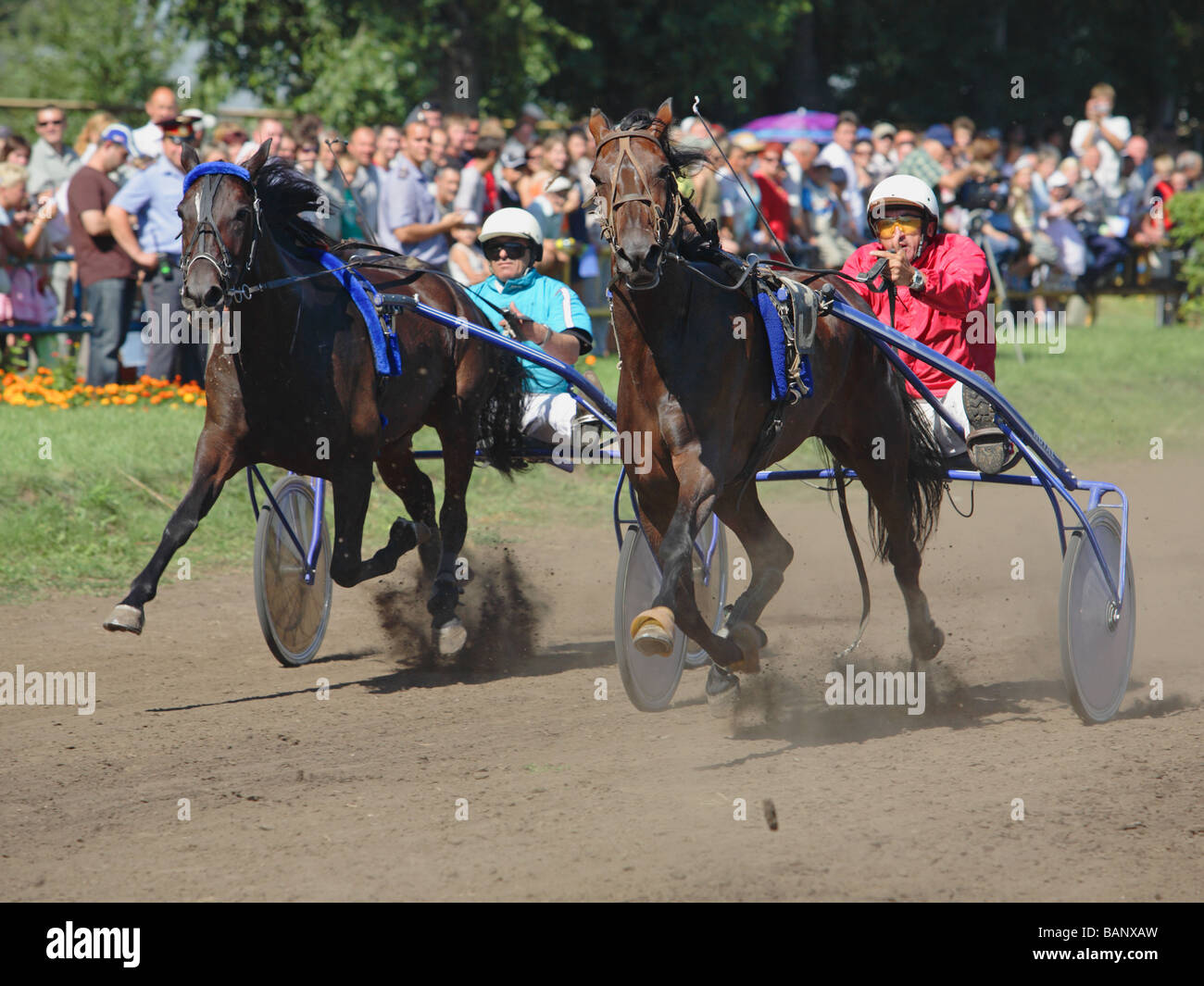 Harness racing, trotter horse racing on a heath in Tambov state hippodrome, Russia Stock Photo