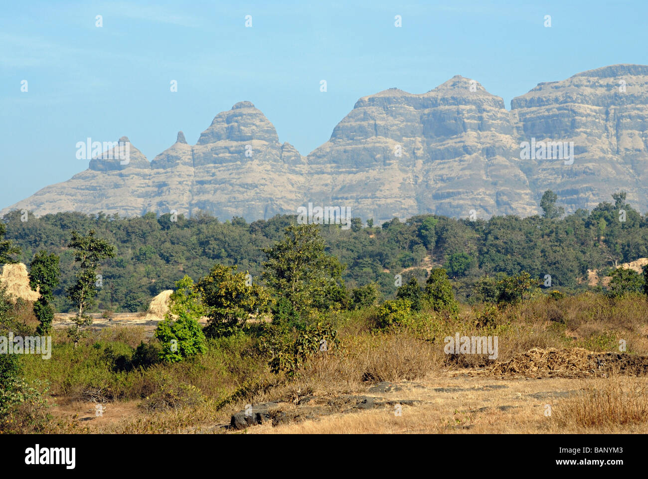Portion of Sahyadri hills near Naneghat, Junnar (Dist. Pune) Stock Photo