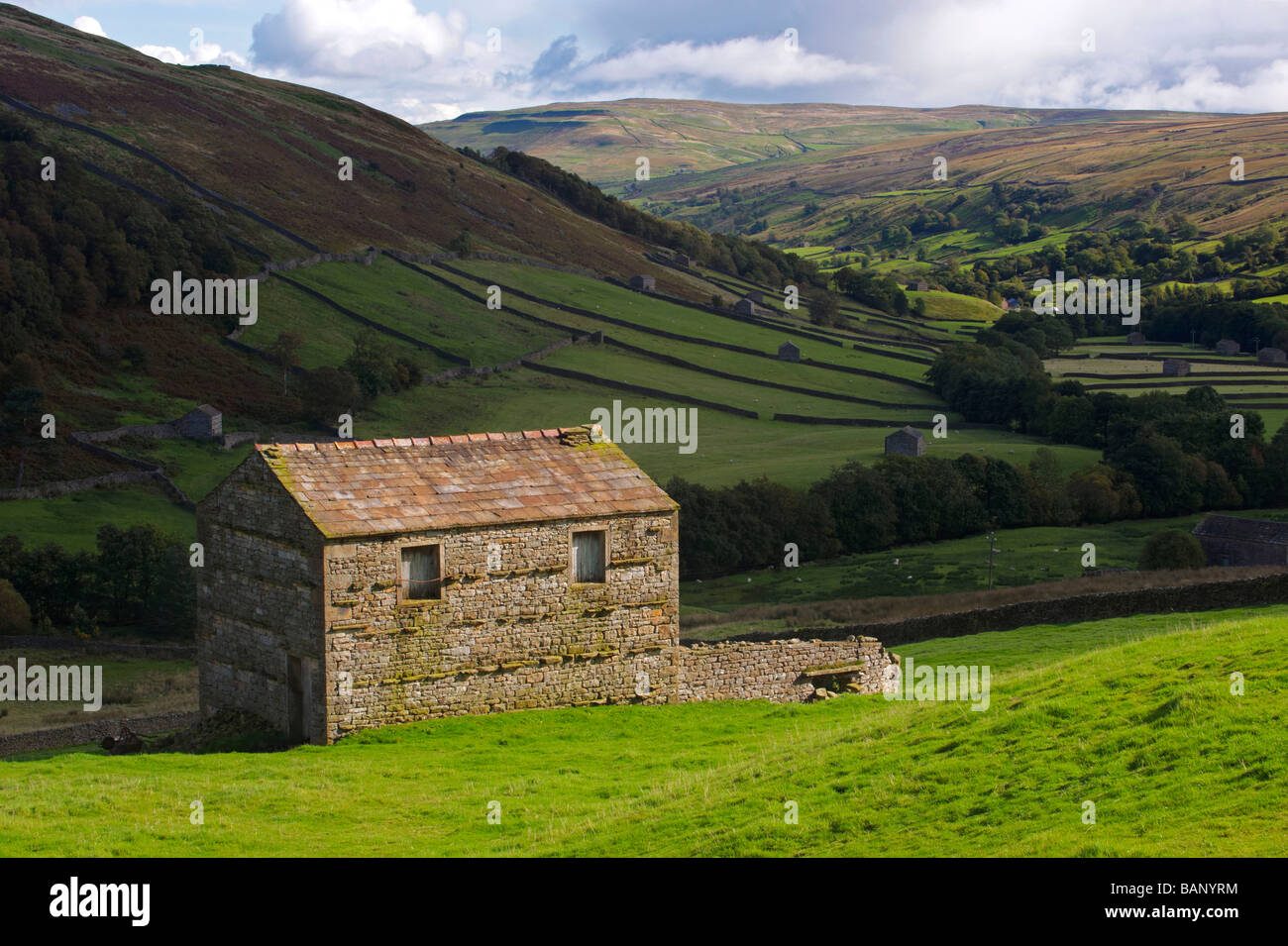 Upper Swaledale Yorkshire UK Stock Photo