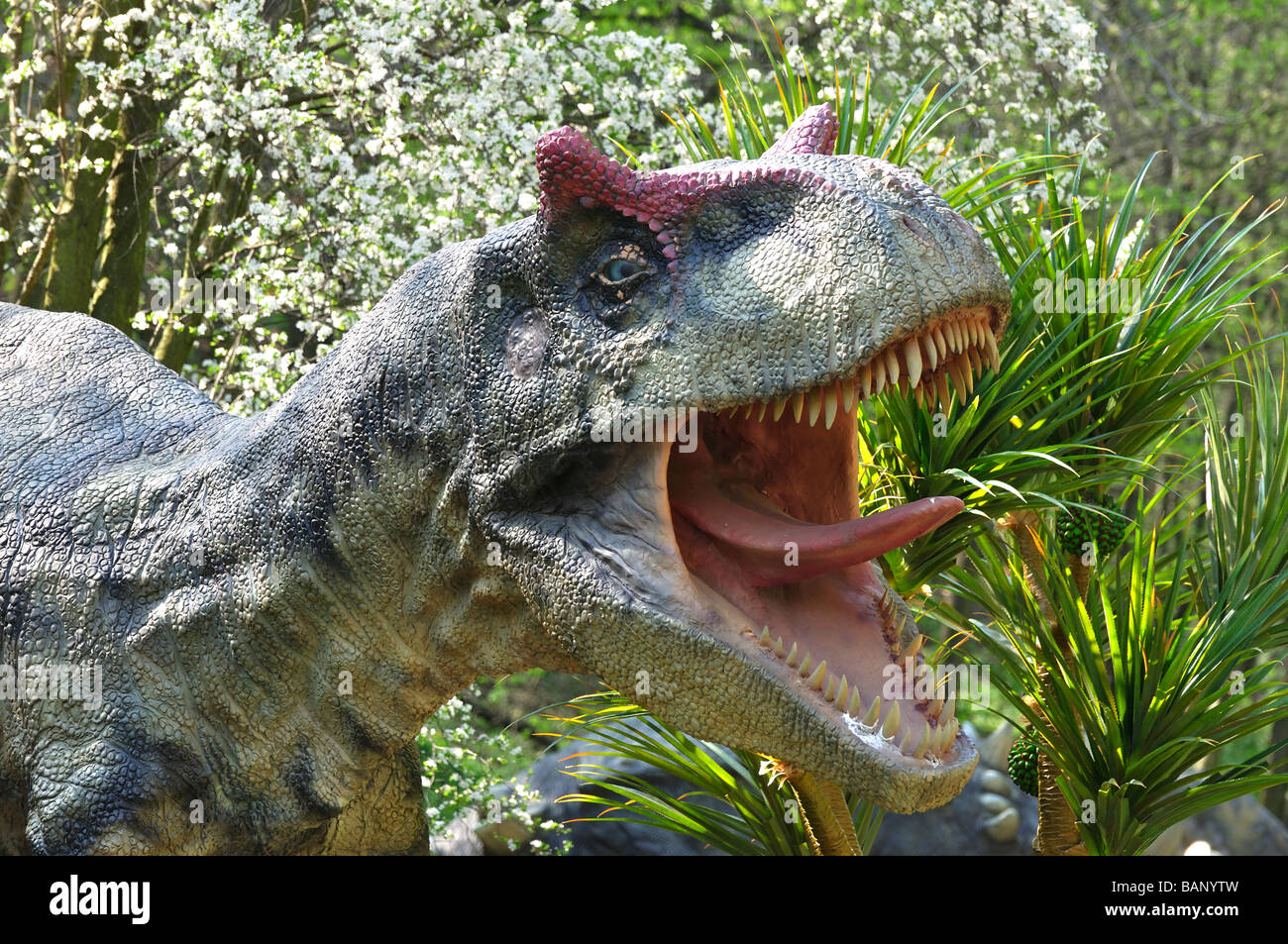 T rex hunting hi-res stock photography and images - Alamy