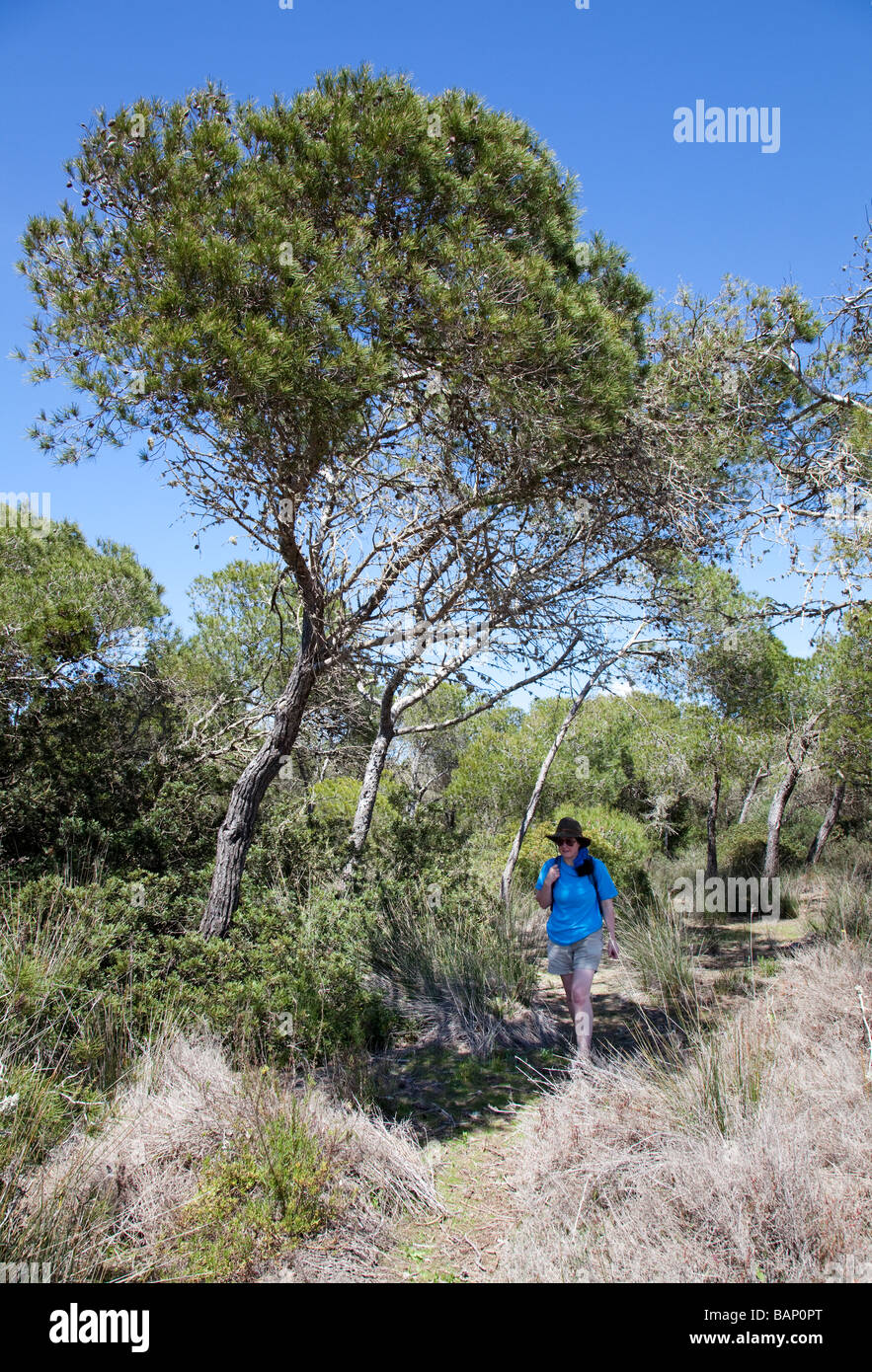 Platja des trenc mallorca hires stock photography and images Alamy
