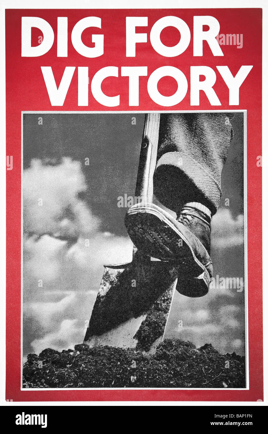 The 1939 Dig for Victory poster used by the government to spread awareness regarding the food shortages. Stock Photo