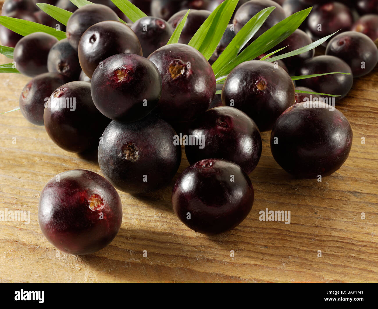 Acai Berries anti oxidant fruit Stock Photo