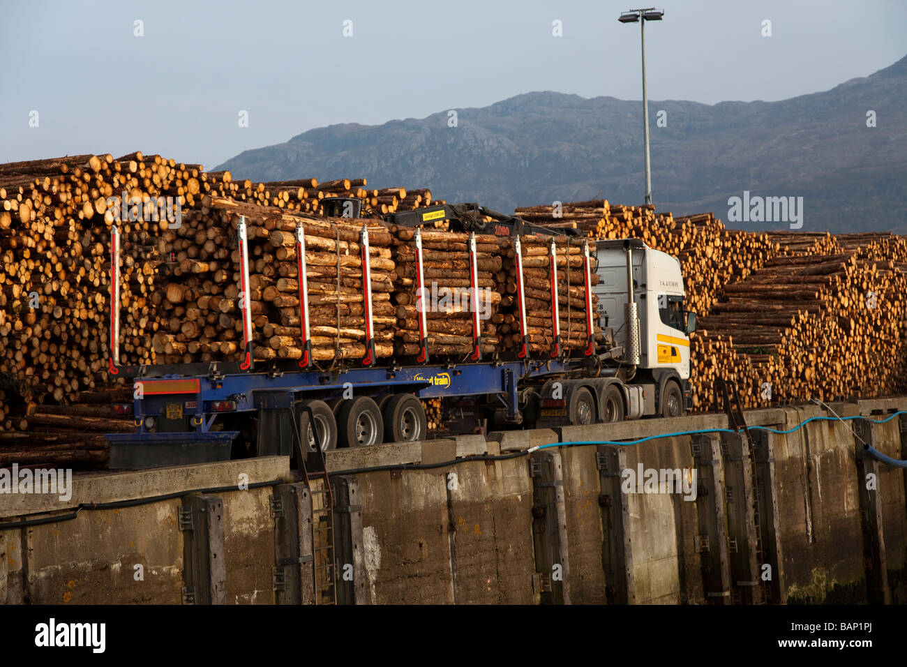 Scottish Tree Logging & Timber Industry. Kyle of Lochalsh, Isle of