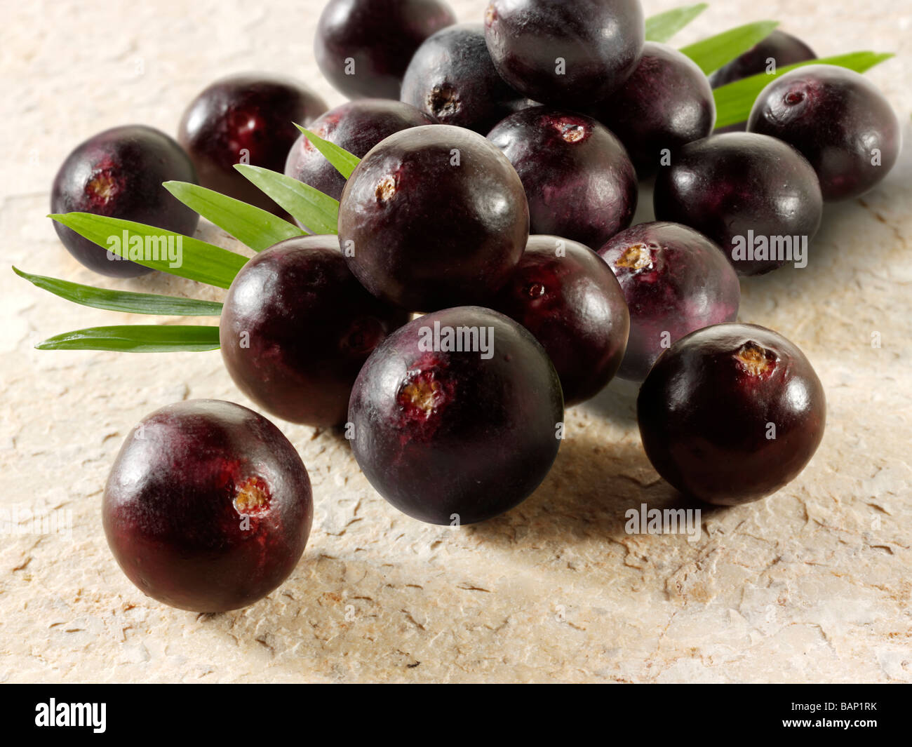 Acai Berries anti oxidant fruit Stock Photo