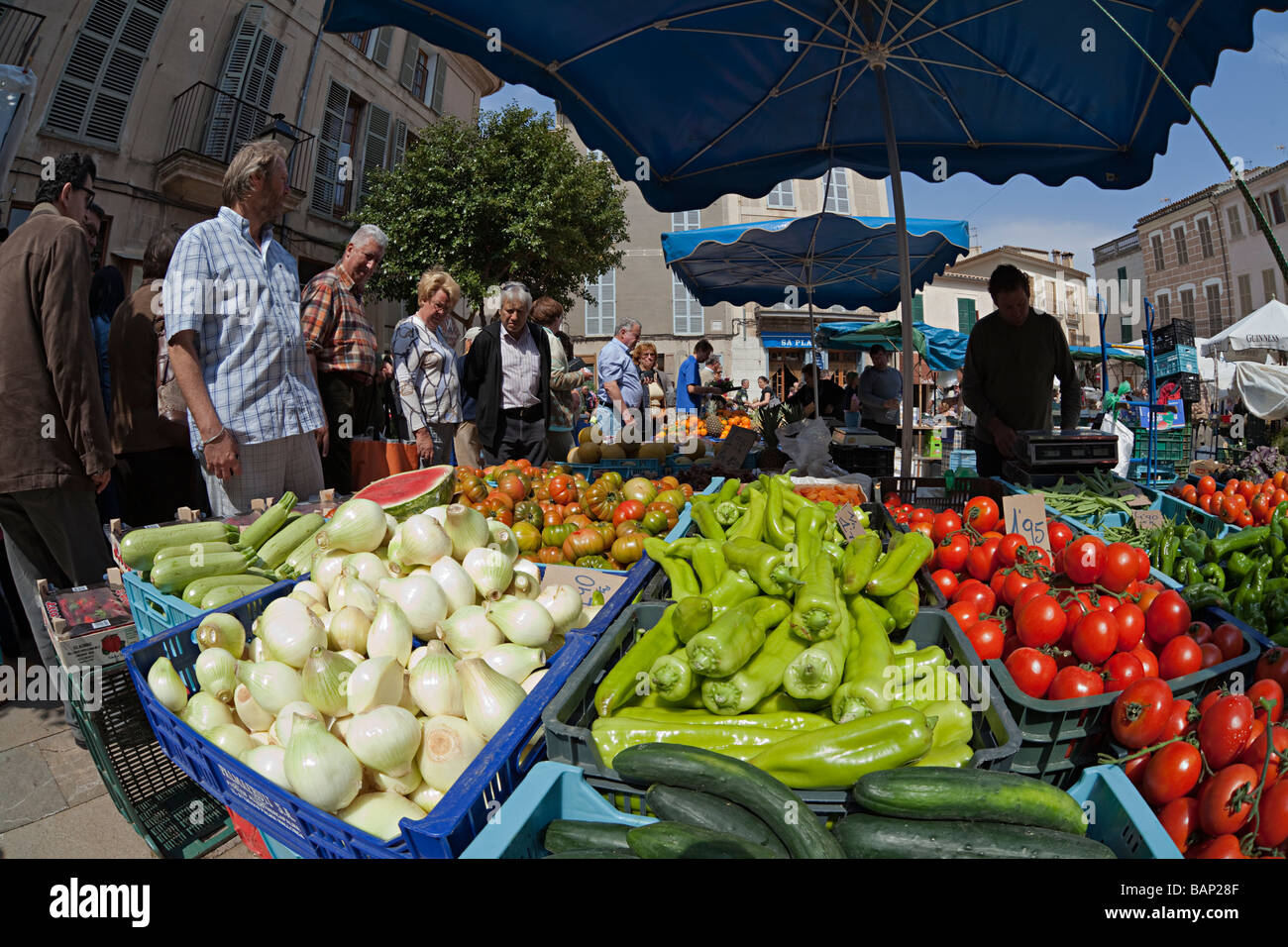 Onions peppers tomatoes and vegetables on sale in market Sineu Mallorca Spain Stock Photo