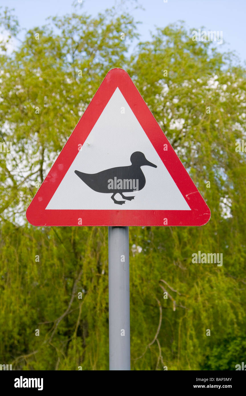 Caution Ducks Crossing Uk Road Traffic Sign Signs Roadsigns Stock Photo